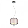 Светильник с поддержкой Маруси подвесной APLOYT APL.703.06.01-M 