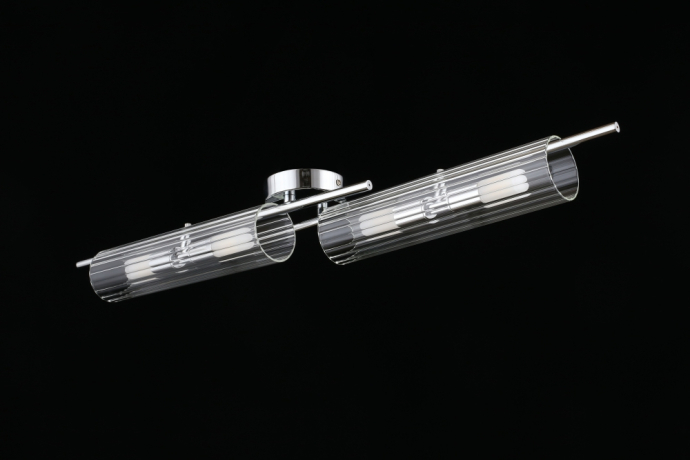 Накладной светильник Aployt Lusia APL.315.17.04 