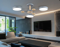 Люстра на штанге Ambrella Light FL FL4856