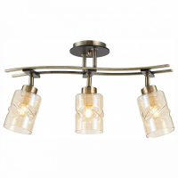 Спот Citilux Мерида CL142134