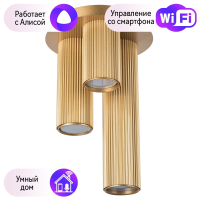 Потолочный светильник Lightstar с поддержкой Алисы, Roma 718033