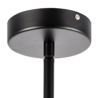 Светильник на штанге Lightstar Amerigo 746068