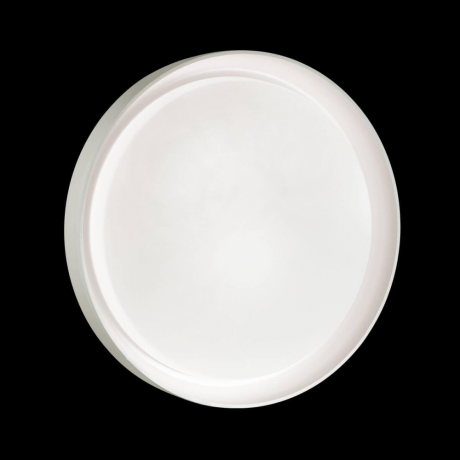 Накладной светильник Sonex Bionic 3030/DL 