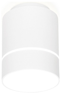 Накладной светильник Ambrella Light TN TN255