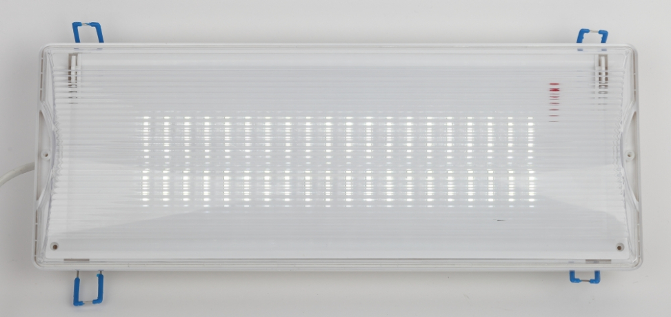 Аварийный светодиодный светильник Эра DPA-301-0-65 (Б0044405)