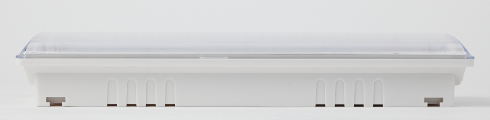 Аварийный светодиодный светильник Эра DPA-301-0-65 (Б0044405)