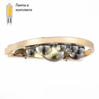 Светильник на стену с Led лампочками в комплекте ST Luce SL1510.201.01+Lamps