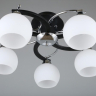 Люстра потолочная с лампочками Omnilux OML-25407-05+Lamps 