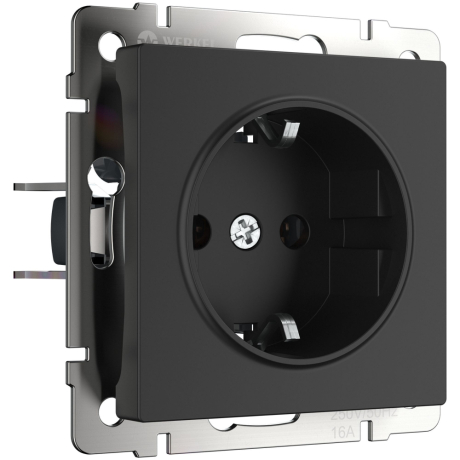 Розетка с заземлением, без рамки Werkel черный матовый W1171308