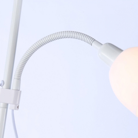 Торшер с подсветкой Ambrella Light TR TR97622 