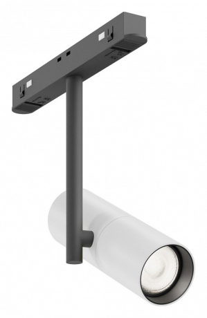 Светильник на штанге Maytoni Technical Elti TR005-2-12W4K-BW