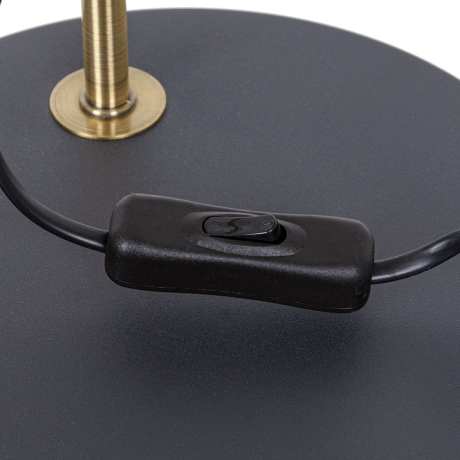 Настольная лампа офисная Arte Lamp Zetta A7055LT-1BK 