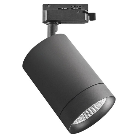 Светильник на штанге Lightstar Canno 303274 