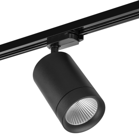 Светильник на штанге Lightstar Canno 303274 