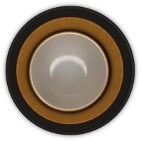 Накладной светильник Ambrella Light TN TN375