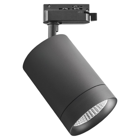 Светильник на штанге Lightstar Canno 303272 