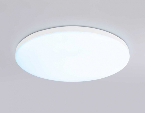 Накладной светильник Ambrella Light FZ FZ2001