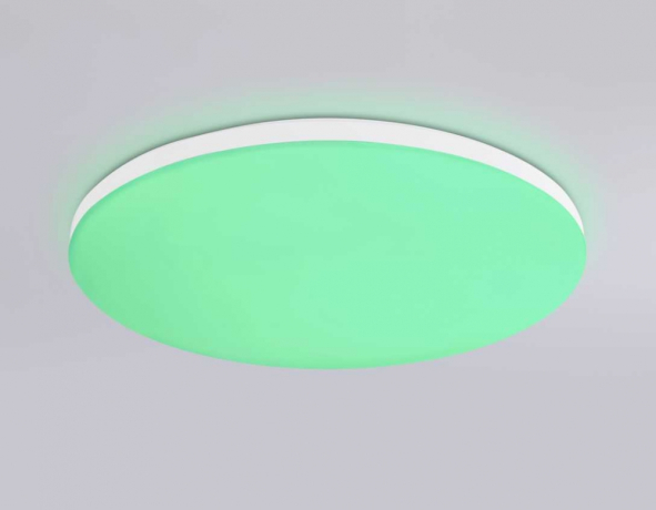 Накладной светильник Ambrella Light FZ FZ2001