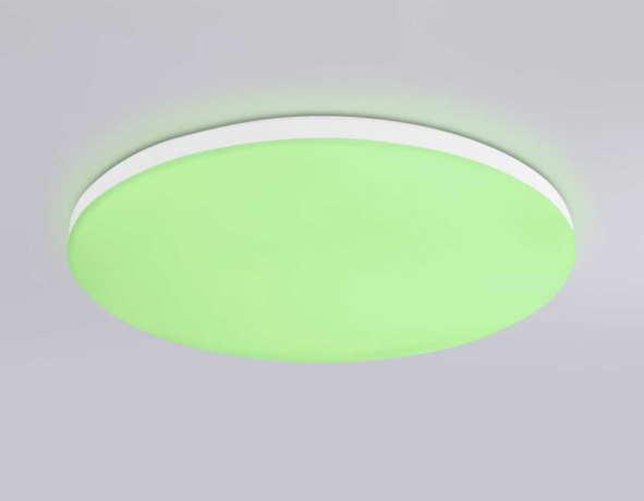 Накладной светильник Ambrella Light FZ FZ2001