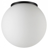 Накладной светильник Odeon Light NATURE 7124/1C