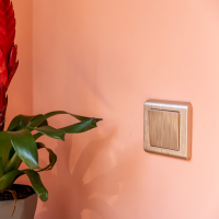 Выключатель одноклавишный без рамки Werkel шампань рифленый W1110010