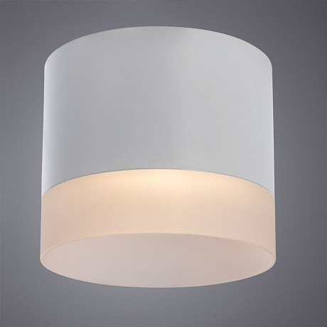 Накладной светильник Arte Lamp Castor A5554PL-1WH 