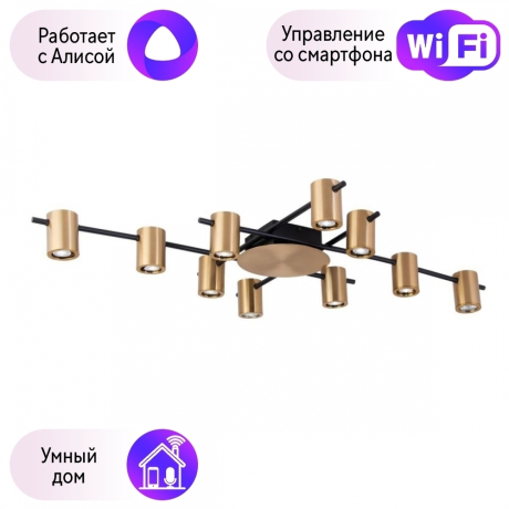 Люстра потолочная APLOYT Elwisia с Алисой APL.633.07.10-A 