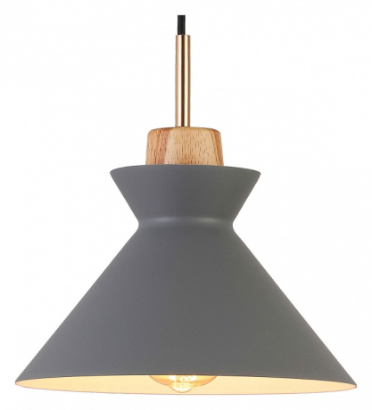 Подвесной светильник Escada Crater 1106/1S 