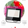 Фитопрожектор для растений светодиодный ЭРА FITO-100W-RB-LED для цветения и плодоношения красно-синего спектра 100 Вт Б0046369 