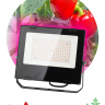 Фитопрожектор для растений светодиодный ЭРА FITO-100W-RB-LED для цветения и плодоношения красно-синего спектра 100 Вт Б0046369 