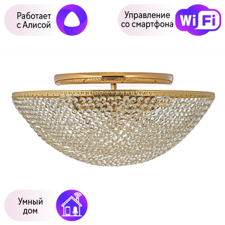 Потолочный светильник Arti Lampadari с поддержкой Алиса Stella LE 1.2.50.501 G-A 