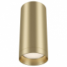 Накладной светильник Maytoni Technical Focus C010CL-01MG 