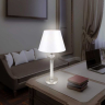 Настольная лампа декоративная Ambrella Light LH LH71007 