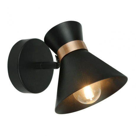 Спот Arte Lamp Baltimore A1406AP-1BK 