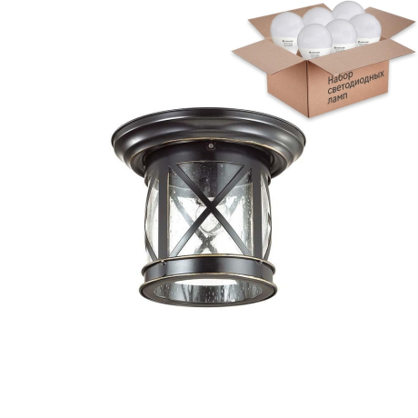 Уличный потолочный светильник с лампочкой, комплект от Lustrof. №105225-622798