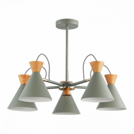 Люстра на штанге EVOLUCE Modica SLE125112-05 