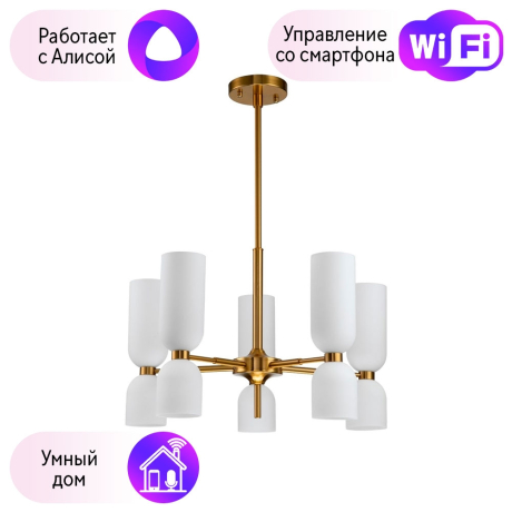 Подвесная люстра Favourite Amusing с поддержкой Алиса 2876-5P-A 