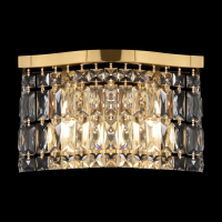 Накладной светильник Maytoni Dune DIA005WL-02G