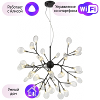 Подвесная люстра Wertmark FIORITA с поддержкой Алиса WE241.36.023-A