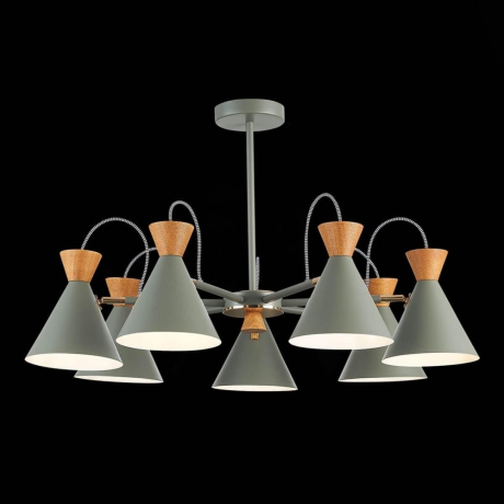 Люстра на штанге EVOLUCE Modica SLE125112-07 