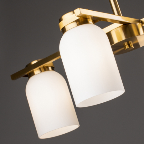 Люстра на штанге Freya Kamelia FR5446PL-04BS1 