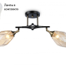 Потолочный светильник с лампочками Ambrella light TR303032+Lamps 