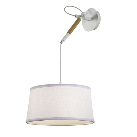 Настенно-потолочный светильник с лампочкой  F-Promo Eureka 3005-1P+Lamps А60 