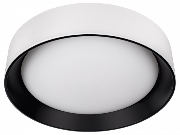 Накладной светильник Loft it Coin 10202 WB 