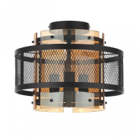 Накладной светильник Lumion Zarina 8007/3C