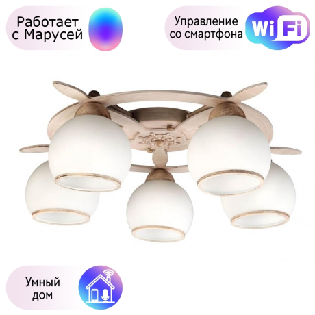 Люстра с поддержкой Маруси потолочная Omnilux OML-50517-05-M 