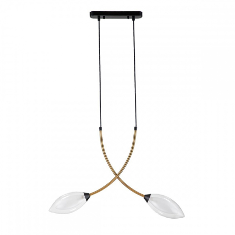 Подвесной светильник Indigo Fiore 13001/2P Black 