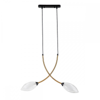 Подвесной светильник Indigo Fiore 13001/2P Black