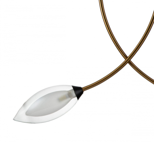 Подвесной светильник Indigo Fiore 13001/2P Black 