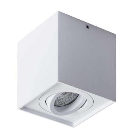 Накладной светильник Arte Lamp Factor A5544PL-1WH 